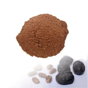 Ajwa Seeds Powder
